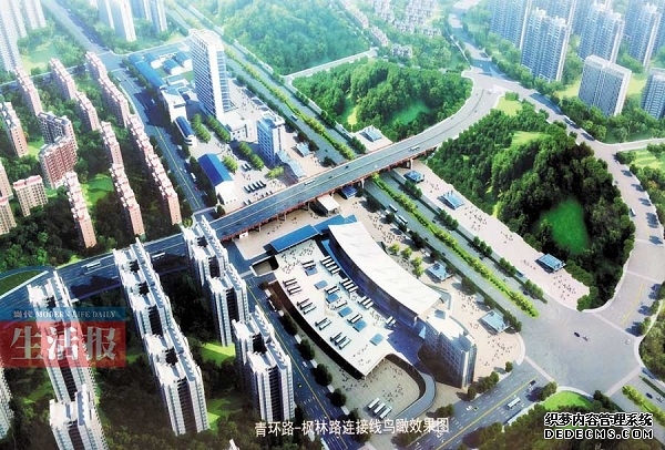 分析师警告：经济分化下美国家庭生活压力陡增